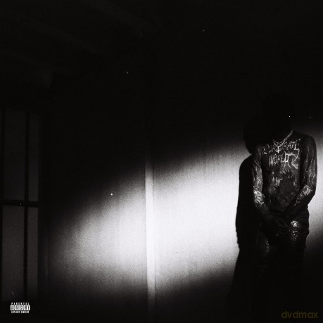 Destroy Lonely: No Stylist [0xWinyl]