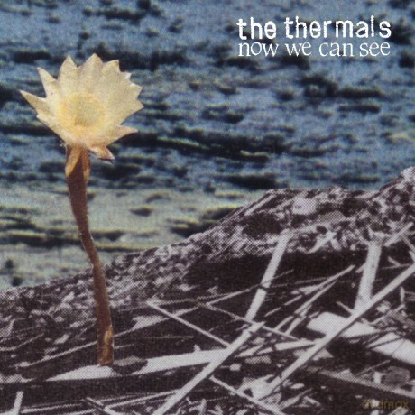 Thermals: Now We Can See [Winyl]
