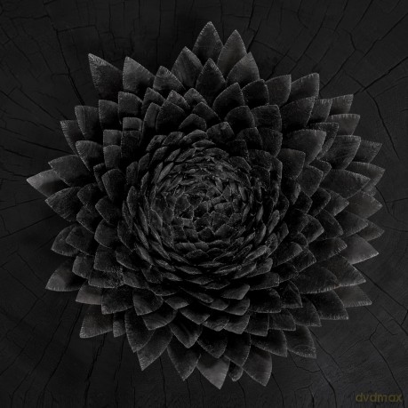 Jonsi: Obsidian [2xWinyl]