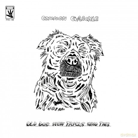 Common Grackle: Old Dog New Tricks Who This [Winyl]