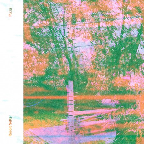 Record Setter: Purge (Pink) [Winyl]