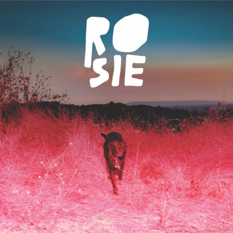 Kaycie Satterfield: Rosie (Eco-Friendly Rosie Red) [Winyl]