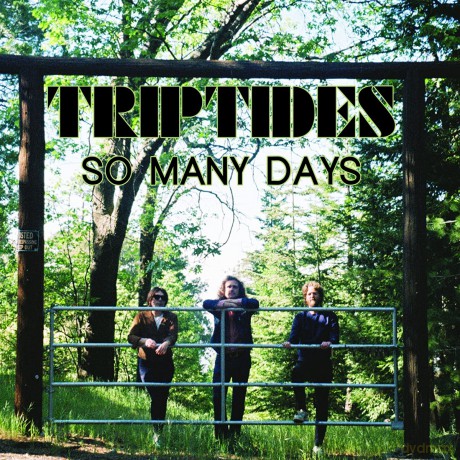 Triptides: So Many Days EP [Winyl]