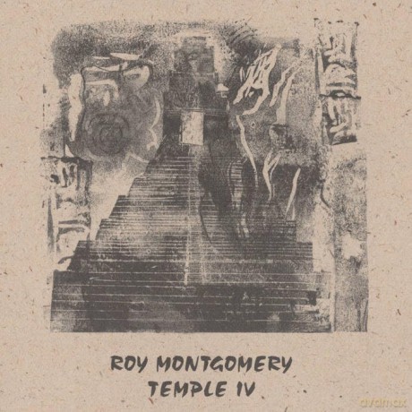 Roy Montgomery: Temple IV [2xWinyl]