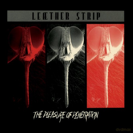 Leaether Strip: The Pleasure Of Penetration [Winyl]