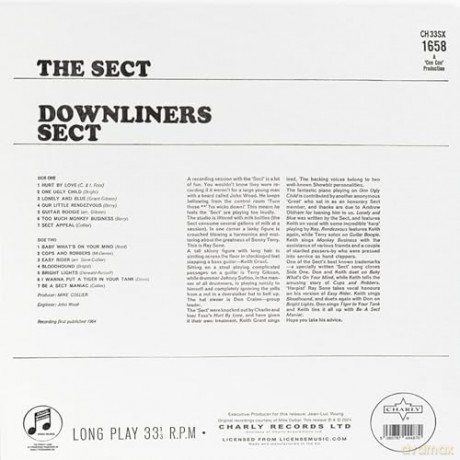 Downliners Sect: The Sect [Winyl]