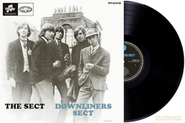 Downliners Sect: The Sect [Winyl]