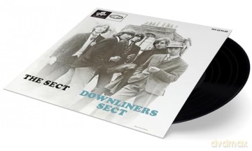 Downliners Sect: The Sect [Winyl]
