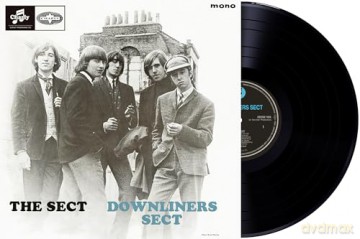 Downliners Sect: The Sect [Winyl]