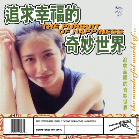 Pursuit Of Happiness: The Wonderful World Of The Pursuit Of Happiness [Winyl]