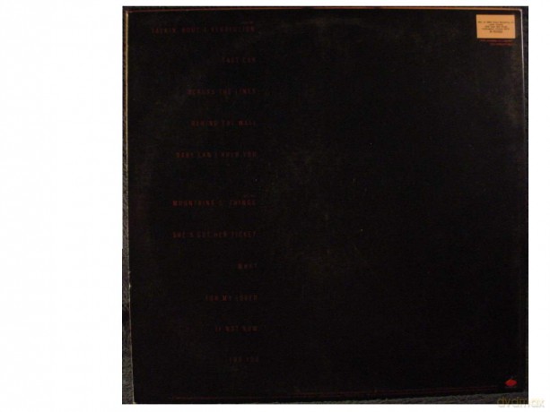 Tracy Chapman: Tracy Chapman [Winyl]
