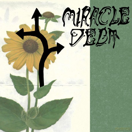 Miracle Debt: Under The Shadow [Winyl]