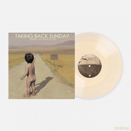 Taking Back Sunday: Where You Want To Be [Winyl]