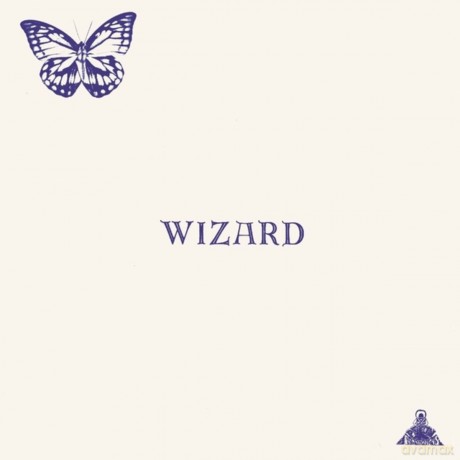 Wizard: Wizard [Winyl]