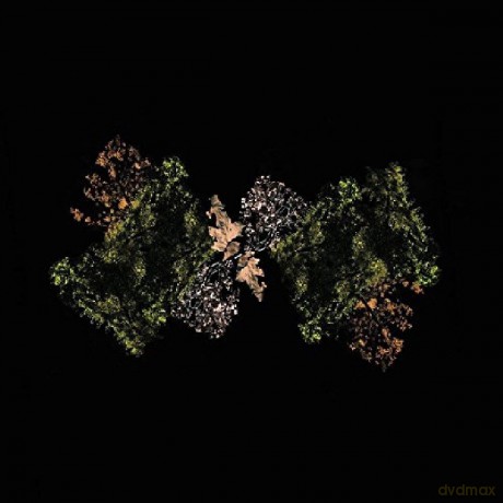 Woodsman: Woodsman (Lemon Lime) [Winyl]