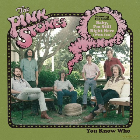 Pink Stones: You Know Who (Multi-Coloured) (Indie Exclusive) [Winyl]