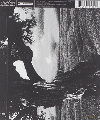Standard: Albatross [CD]