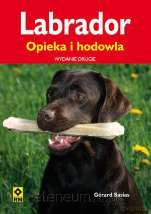 Labrador. Opieka i hodowla [KSIĄŻKA]