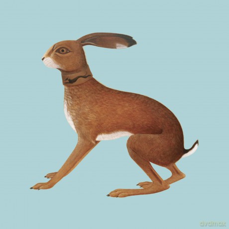 Vashti Bunyan: Lookaftering - Expanded Edition [2CD]