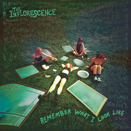 Inflorescence: Remember What I Look Like [CD]