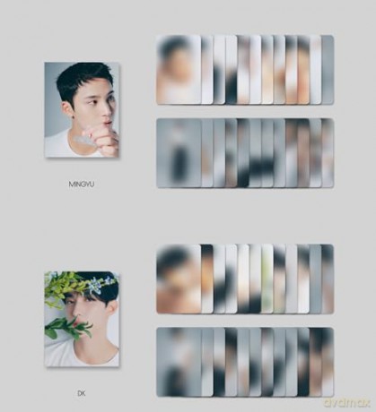 Seventeen: Seventeen Best Album 17 Is Rig [2CD]