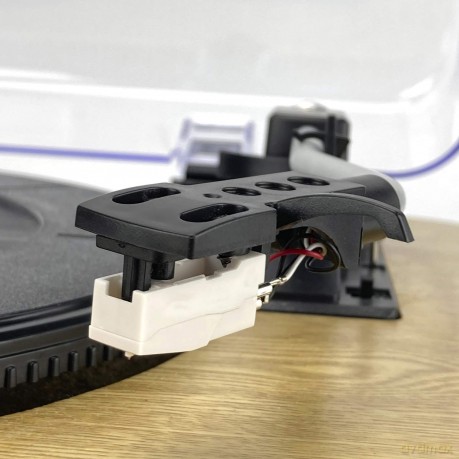Aiwa: Stereo Turntable Gbtur-120W