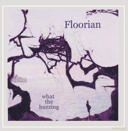 Floorian: What The Buzzing [CD]