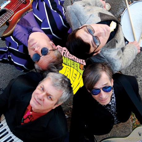 Fleshtones: Wheel Of Talent [CD]