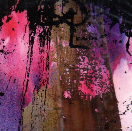 Double Leopards: A Hole Is True [CD]