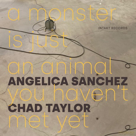 Angelica Sanchez: A Monster Is Just An Animal You Havent Met Yet [CD]