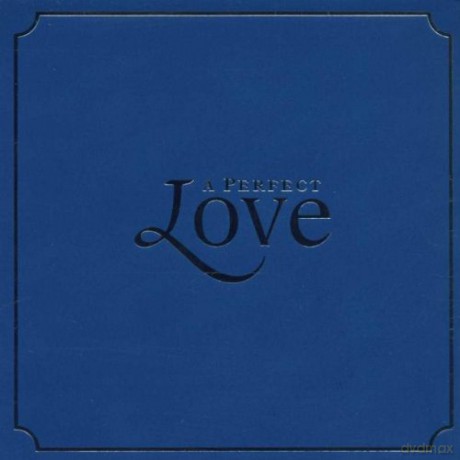 A Perfect Love/European Versio [CD]