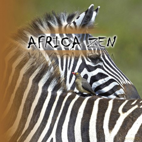 Africa Zen [CD]