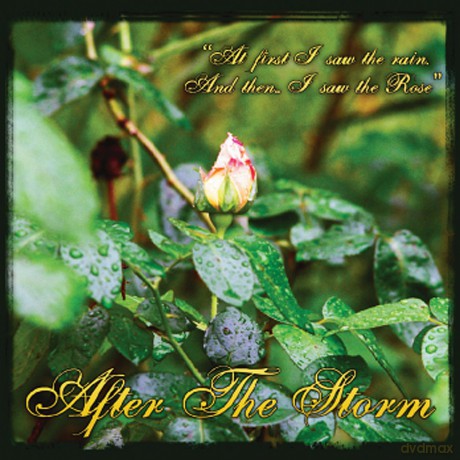 James Mccoy: After the Storm [CD]