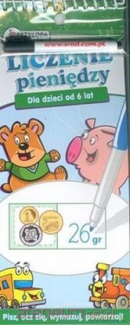 Liczenie pieniędzy [KSIĄŻKA]