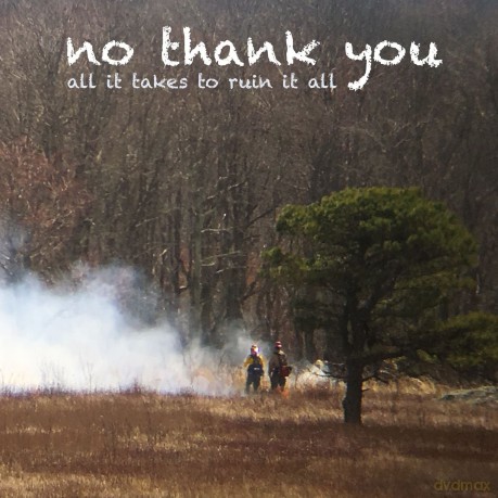 No Thank You: All It Takes To Ruin It All [CD]