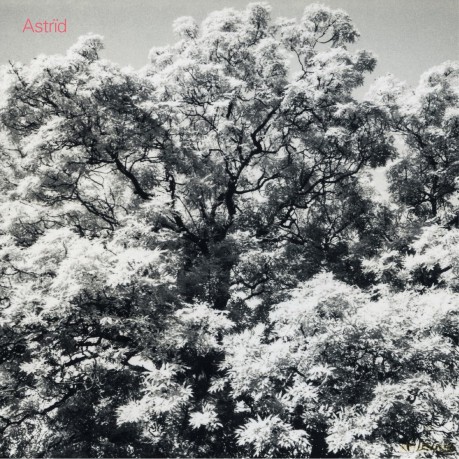 Astrid: Always Digging The Same Hole [CD]