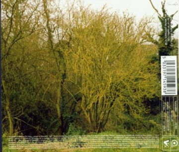 Etienne De Crecy: Am I Wrong [CD]