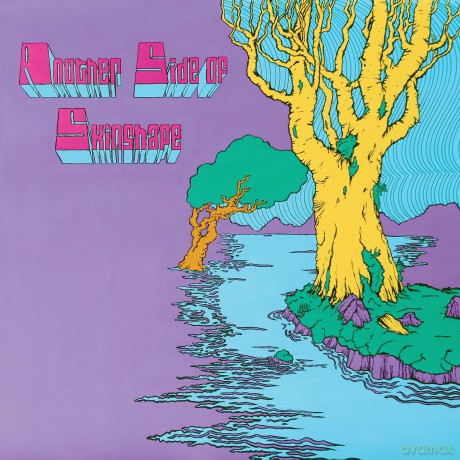 Skinshape: Another Side Of Skinshape [CD]