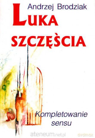 Luka szczęścia. Kompletowanie sensu [KSIĄŻKA]