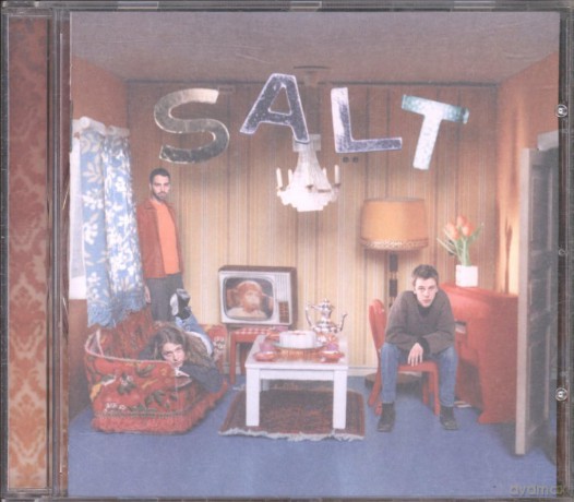 Salt: Auscultate [CD]
