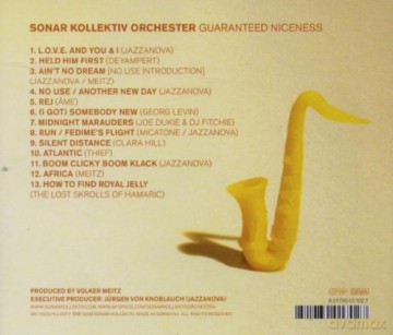 Sonar Kollektiv Orchester: Guaranteed Niceness [CD]