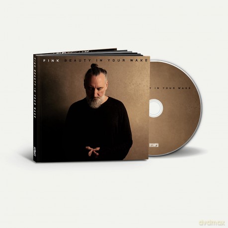 Fink: Beauty In Your Wake [CD]