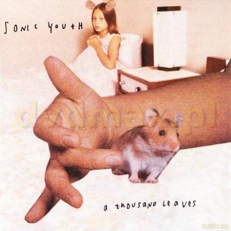 Sonic Youth: A Thousand Leaves [CD]