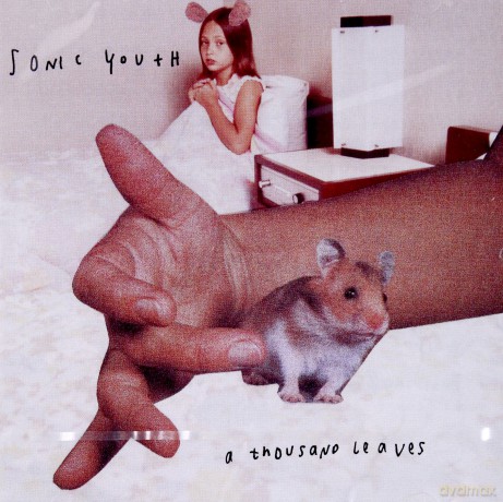 Sonic Youth: A Thousand Leaves [CD]