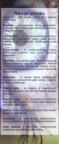 Magnetyczna zakładka - Biologia [SZKOŁA]