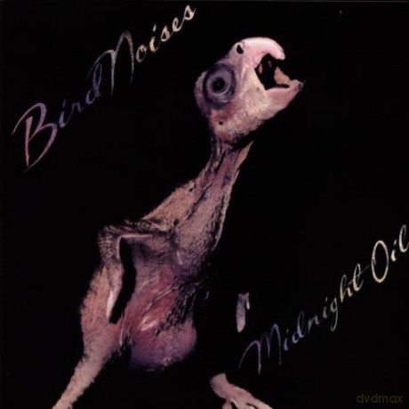 Midnight Oil: Bird Noises 1980 (French Import) [CD]