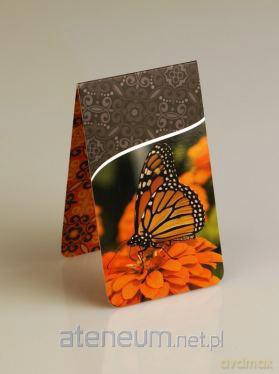 Magnetyczna zakładka do książki - Motyl [SZKOŁA]