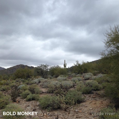 Verde River: Bold Monkey [CD]