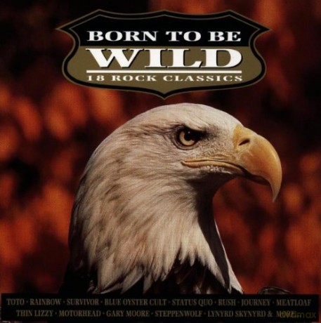 Born To Be Wild [CD]