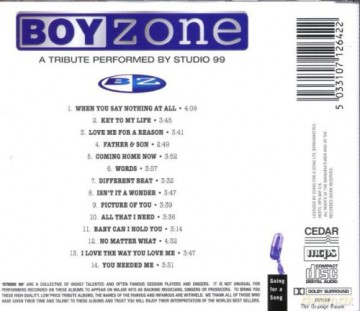 Studio 99: Boyzone Tribute [CD]